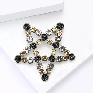 Detailed macro view of pentagram star brooch with black roses and gray gemstones