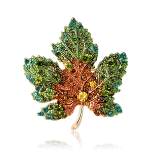 Élégante broche en forme de feuille d'érable avec strass colorés sur fond blanc