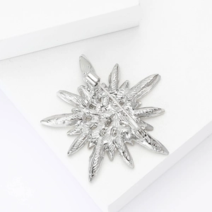 Detail of star-shaped brooch back with secure pin clasp and polished silver finish