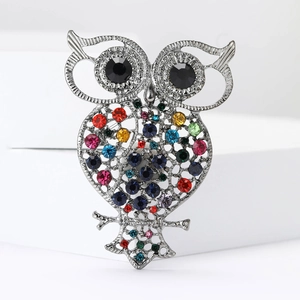 Macro shot of silver alloy owl brooch with colorful rhinestones on white display