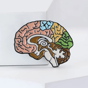 Creative Personality Alloy Anatomical Brain Brooch Colorful Enamel Pin Badge For Suit Sweater Unisex Science Medical Jewelry Gift