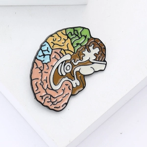 Creative anatomical brain enamel brooch with colorful sections on a minimalist white stand