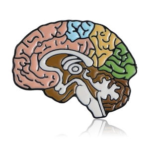 Creative anatomical brain enamel brooch with colorful functional zones on white background