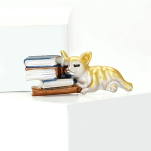 Broche chat endormi sur des livres en émail avec détails dorés et bleus polis