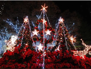 Beleuchtete Weihnachtsdekoration mit LED-Bäumen, Sternen und roten Weihnachtssternen draußen