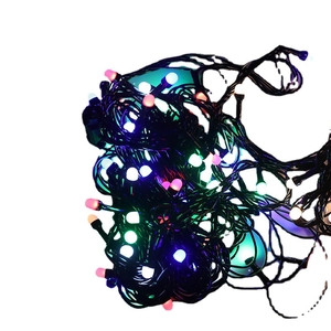 Multicolor LED decorative string lights with warm glowing bulbs and black insulated wire