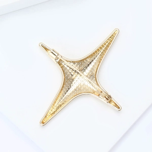 Polished gold four-pointed star brooch featuring a textured mesh back and secure pin clasp