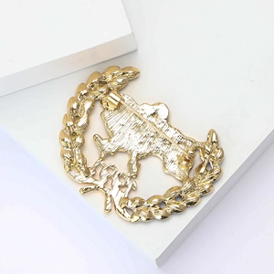 Detail showing the golden Brazil map pin back with secure butterfly clutch fastener