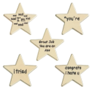 Five wooden star badges with snarky English phrases on a white background