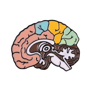 Colorful brain enamel pin with distinct anatomical zones on a clean white background