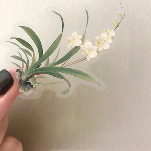 Close-up of hand holding a transparent orchid sticker with ink-style floral patterns