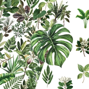 50Pezzi Adesivi Foglie Verdi Trasparenti Impermeabile PET Botanico Monstera Felce Decalcomanie per Scrapbooking Diario Laptop Chitarra Fai da Te