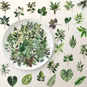 Round white ceramic plate with botanical monstera and magnolia illustrations in green