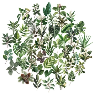 50pcs waterproof clear green leaf PET stickers featuring tropical plants and foliage