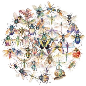 Natural Insect PET Stickers Waterproof Transparent Watercolor Butterfly Beetle Decals For Scrapbooking DIY Journal Laptop Decor