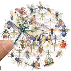Detailed view of semi-transparent insect stickers with dragonfly held for size scale