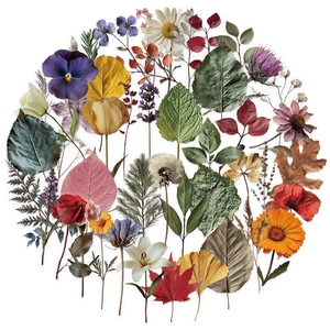 50 vintage waterproof PET plant stickers including roses, daisies and maple for DIY scrapbooking