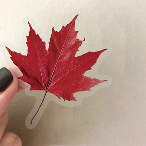 50pcs transparent red maple leaf stickers made of waterproof PET for DIY scrapbooking