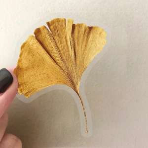 Macro detail of a vintage golden ginkgo leaf transparent PET sticker for DIY scrapbooking