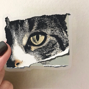 Waterproof transparent PET stickers featuring realistic tabby cat eyes for scrapbooking