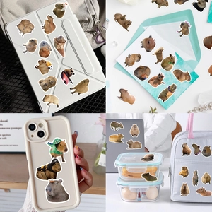 50 realistic Capybara stickers for laptop and phone case DIY decoration set
