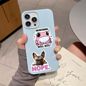 Close-up of light blue iPhone case with funny animal stickers on a French book background