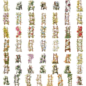 Vista dettagliata di 50 adesivi PET vintage con scala di fiori e piante realistiche
