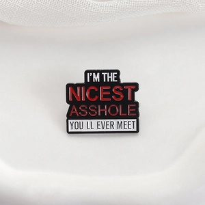 Lustige Emaille-Brosche mit rotem Spruch 'I'M THE NICEST ASSHOLE' für Kleidung deko