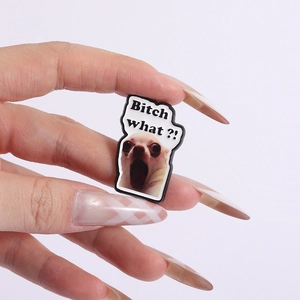 Funny Chihuahua meme shoe charm for clogs with Bitch what text humor design