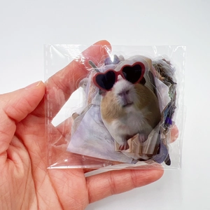 Gros plan sur des autocollants imperméables de cochon d'Inde avec lunettes coeur en sachet clair