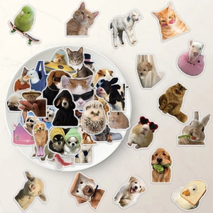 Lot de 50 autocollants d'animaux drôles pour décoration créative imperméable d'ordinateur