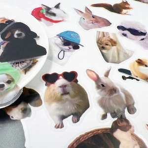 Assortiment détaillé d'autocollants drôles d'animaux étanches avec chats et chiens mignons