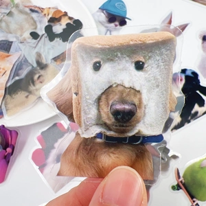 Gros plan d'autocollants PET imperméables chien toast rigolos pour bricolage DIY