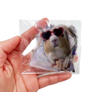 Lot de 50 autocollants animaux en PET imperméables pour décoration créative et DIY