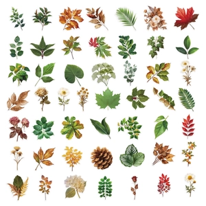 Detailed macro view of 50 assorted botanical PET stickers with leaves and flowers