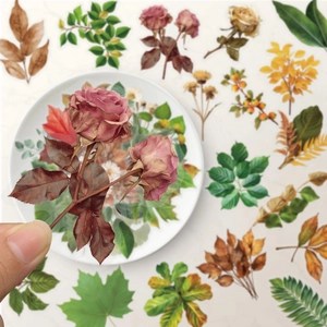 Vintage botanical PET stickers featuring roses and green leaves for DIY scrapbooking