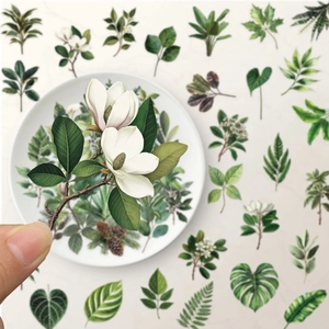 Detailed view of semi-transparent PET plant stickers with watercolor white magnolia design