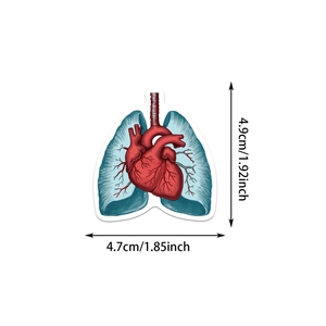 50 vintage human anatomy stickers featuring detailed heart and lung scientific illustrations
