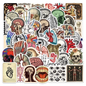 Vintage Human Anatomy Stickers Pack Waterproof PVC Medical Illustration Decals For Laptop Suitcase Scrapbooking Journal Stickers
