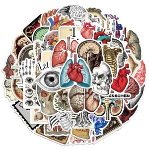 Detailed pile of vintage human anatomy stickers featuring heart, brain, and skull designs