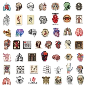 50 vintage human anatomy stickers featuring detailed medical illustrations of heart and brain