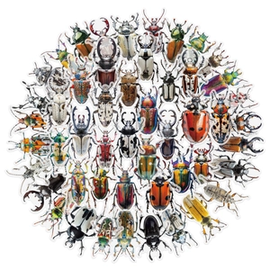 Pack of 50 colorful beetle PET stickers featuring diverse insect species and designs
