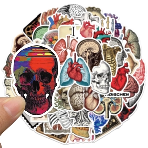 Close-up of vintage human anatomy stickers featuring skull, heart, and brain illustrations
