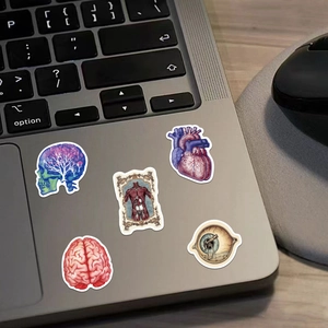 Detail of vintage anatomical art stickers applied to a silver laptop palm rest area