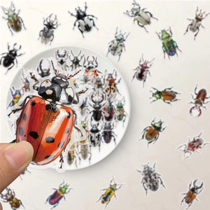 Waterproof PET beetle stickers for scrapbooking featuring realistic insect motifs and designs