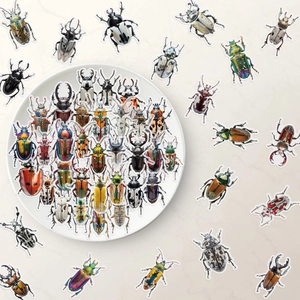 50pcs vintage beetle and insect stickers for nature scrapbooking and educational DIY
