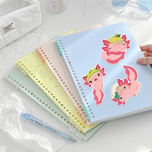 Close-up of pastel binders featuring cute pink axolotl stickers and frosted covers