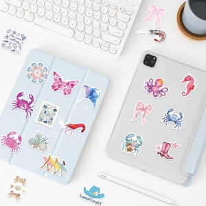 Coastal Cowgirl aesthetic stickers set for laptop and tablet decoration in pink and blue