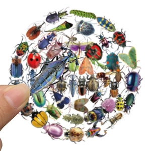 Detailweergave van kleurrijke insecten PET-stickers die de ware grootte tonen met een hand