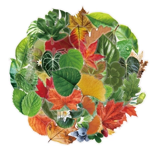 50 pieces of INS style natural leaf PET stickers for DIY scrapbooking and decoration